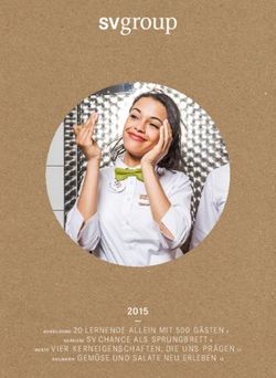 2015 AUSBILDUNG 20 LERNENDE ALLEIN MIT 500 GÄSTEN 2 K ARRIERE SV CHANCE ALS SPRUNGBRET T 9 - SV (Österreich) GmbH