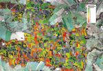 Waldzustandsbericht 2018 - sachsen.de