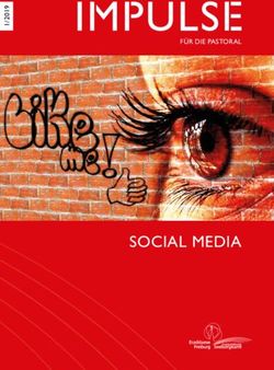 SOCIAL MEDIA - FÜR DIE PASTORAL - Erzbistum Freiburg