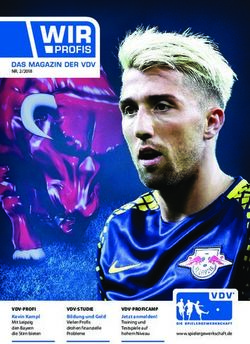 VDV-STUDIE Bildung und Geld Vielen Profis drohen finanzielle Probleme - VDV-PROFICAMP - Spielergewerkschaft