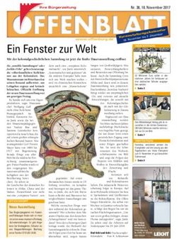 Ein Fenster zur Welt - Stadt Offenburg