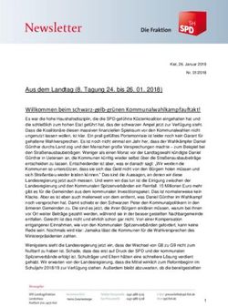 Willkommen beim schwarz-gelb-gr&uuml;nen Kommunalwahlkampfauftakt! - SPD-NET-SH