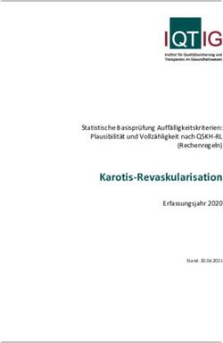 Karotis-Revaskularisation - Statistische Basispr&uuml;fung Auff&auml;lligkeitskriterien: Plausibilit&auml;t und Vollz&auml;hligkeit nach QSKH-RL (Rechenregeln) ...
