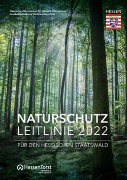 NATURSCHUTZ LEITLINIE 2022 - F&Uuml;R DEN HESSISCHEN STAATSWALD - Hessisches Ministerium f&uuml;r Umwelt, Klimaschutz, Landwirtschaft und Verbraucherschutz