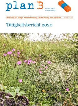 Plan B Tätigkeitsbericht 2020 - Zeitschrift für Pflege, Krisenbetreuung, IN-Betreuung und Adoption