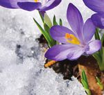 Nachhaltigkeit der Schweizer Retail Banken - Ein Auszug aus der IFZ Retail Banking Studie 2017 - HSLU-Blogs