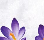 Nachhaltigkeit der Schweizer Retail Banken - Ein Auszug aus der IFZ Retail Banking Studie 2017 - HSLU-Blogs