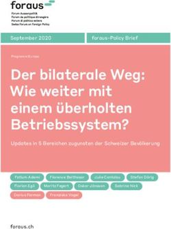Der bilaterale Weg: Wie weiter mit einem überholten Betriebssystem? - Foraus