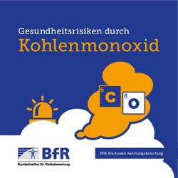 KOHLENMONOXID C GESUNDHEITSRISIKEN DURCH - BFR