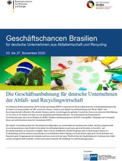 Gesch&auml;ftschancen Brasilien - f&uuml;r deutsche Unternehmen aus Abfallwirtschaft und Recycling - bvse
