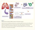 Fetts&auml;uren in der therapeutischen Anwendung - Andrea Thiem Institut f&uuml;r Medizinische Diagnostik Berlin - IMD Berlin