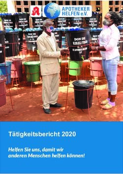 T&auml;tigkeitsbericht 2020 - Helfen Sie uns, damit wir anderen Menschen helfen k&ouml;nnen! - APOTHEKER HELFEN eV