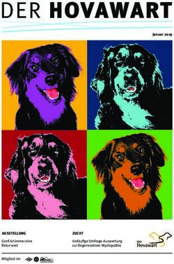 DER HOVAWART - AUSSTELLUNG ZUCHT - Rassezuchtverein f&uuml;r Hovawart-Hunde eV