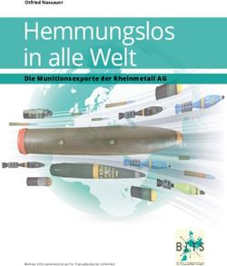 Hemmungslos in alle Welt - Die Munitionsexporte der Rheinmetall AG Otfried Nassauer - BITS