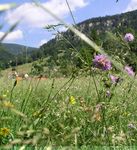 Neue Muggendorfer Zeitung - und ein arbeitsreiches Jahr 2019 "und zur Not kommen wir durch's Fenster"