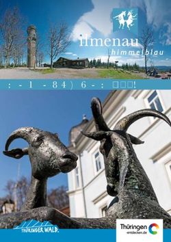REISEPLANER 2019 - Ilmenau