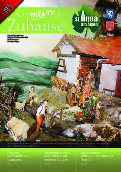 Aus den Gemeinderats-sitzungen - St ...