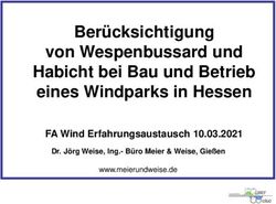 Ber&uuml;cksichtigung Habicht bei Bau und Betrieb eines Windparks in Hessen - von Wespenbussard und