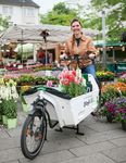 Gesch&auml;ftsbericht 2018 NATURSTROM-Gruppe