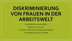 DISKRIMINIERUNG VON FRAUEN IN DER ARBEITSWELT - Sarah Kahlfu&szlig; und Leonie Welte Referat vom 07.11.2016 Im Modul 14: Menschenrechtsbildung am ...
