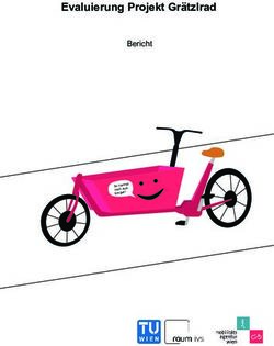 Evaluierung Projekt Gr&auml;tzlrad - Bericht - Radkompetenz &Ouml;sterreich