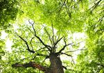 ENTRE PRENEUR RESILIENZ - AUGUST 2020