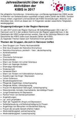 Jahres&uuml;bersicht &uuml;ber die Aktivit&auml;ten der KIBIS in 2017 - Kibis-Hannover
