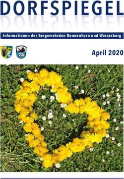 DORFSPIEGEL April 2020 - Informationen der Seegemeinden Nonnenhorn und Wasserburg