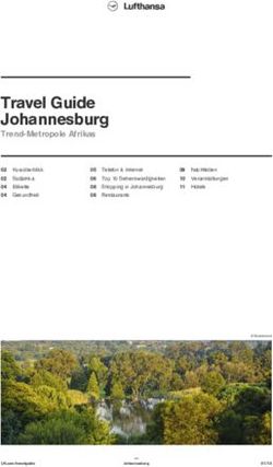Travel Guide Johannesburg - Trend-Metropole Afrikas