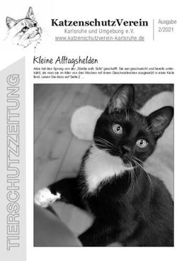 Kleine Alltagshelden - Katzenschutzverein Karlsruhe