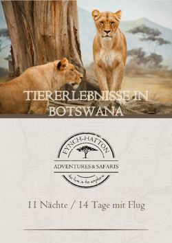 TIERERLEBNISSE IN BOTSWANA - 11 N&auml;chte / 14 Tage mit Flug - fynch-hatton.travel