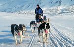 Exklusives arktisches Wintererlebnis - WESER-KURIER ...
