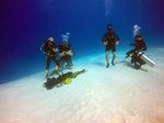 Tauchreise Malediven: Zentralatolle - Sauwald Aqua Team