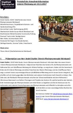 Protokoll der Anwohnerinformation Unterer Rheinweg am 13.11.2017