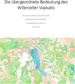 Die &uuml;bergeordnete Bedeutung des Willerzeller Viadukts - NUSS