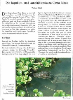 Die Reptilien- und Amphibienfauna Costa Ricas - Walter H&ouml;dl - Zobodat