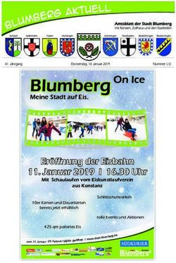 Blumberg On Ice - Stadt Blumberg