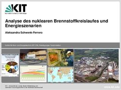 Analyse des nuklearen Brennstoffkreislaufes und Energieszenarien