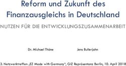 Reform und Zukunft des Finanzausgleichs in Deutschland - NUTZEN F&Uuml;R DIE ENTWICKLUNGSZUSAMMENARBEIT