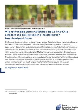 Wie notwendige Wirtschaftshilfen die Corona-Krise abfedern und die &ouml;kologische Transformation beschleunigen k&ouml;nnen