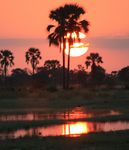 3-Länder Rundreise Namibia, Simbabwe und Botswana 14.09 29.09.2023 - Urlaub im Paradies - Afrika von seiner schönsten Seite