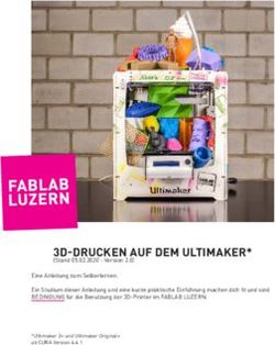 3D-DRUCKEN AUF DEM ULTIMAKER* - (Stand 05.02.2020 - Version 2.0) - FabLab Luzern