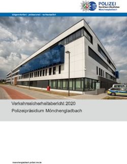 Verkehrssicherheitsbericht 2020 Polizeipräsidium Mönchengladbach