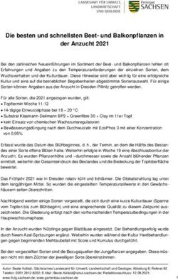 Die besten und schnellsten Beet- und Balkonpflanzen in der Anzucht 2021 - Gartenbau