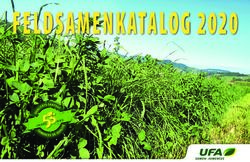 FELDSAMENKATALOG 2020 - UFA Samen