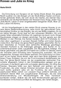 Romeo und Julia im Krieg - Hans Krech