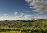 Eventmappe 2021 WEINSTUBE SCHLOSS STAUFENBERG