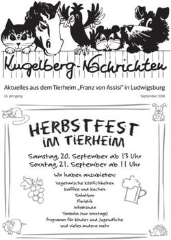 Aktuelles aus dem Tierheim "Franz von Assisi" in Ludwigsburg - Jahrgang September 2008 - Tierheim Ludwigsburg