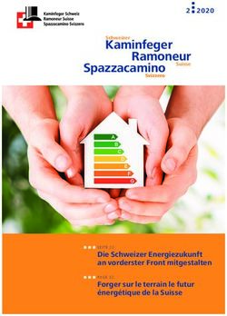 Kaminfeger Ramoneur - Kaminfeger Schweiz