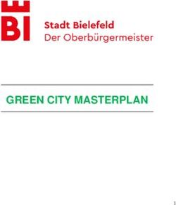 GREEN CITY MASTERPLAN - BMVI